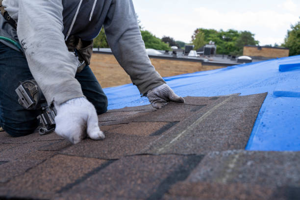 Best Green or Eco-Friendly Roofing Solutions  in Holgate, OH